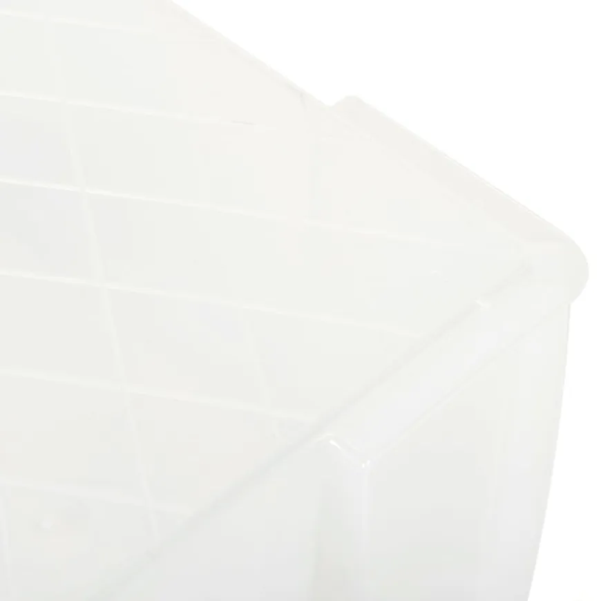 Allstore Plastic Storage Box