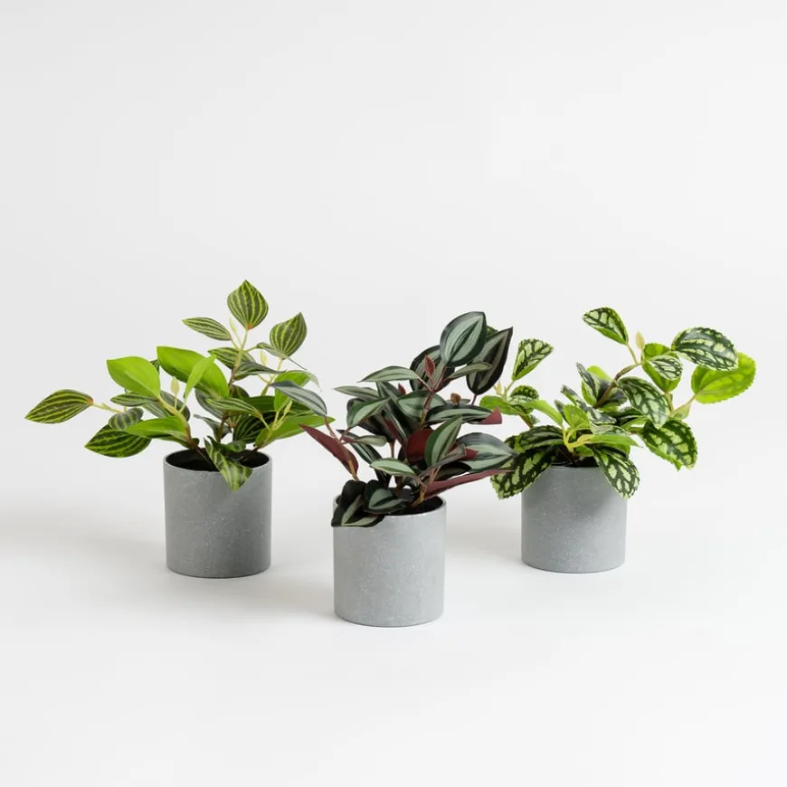 Artificial House Plants in Grey Pots 3pk
