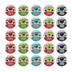 Assorted Sparkly Praise Stickers 567pk
