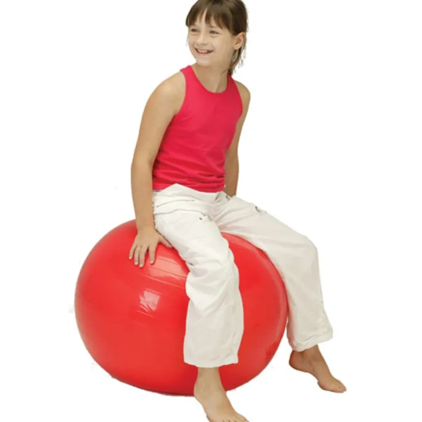 Balance Fitness Ball