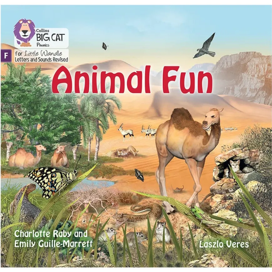 Big Cat for Little Wandle Foundation for Phonics