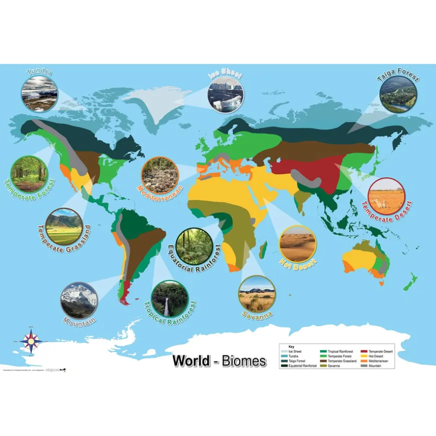 Biomes Curriculum Pack