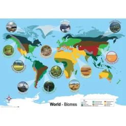 Biomes World Map A1