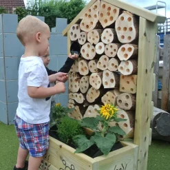 Bugs Life and Planter