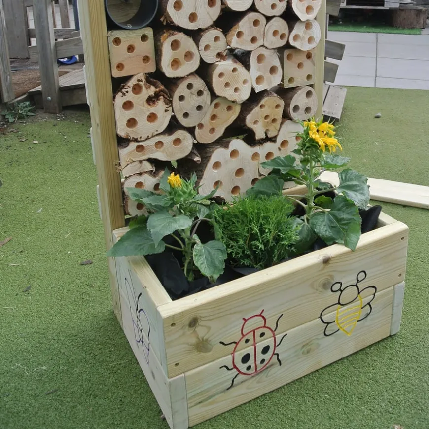 Bugs Life and Planter