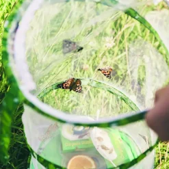 Butterfly Garden Life Cycle Kit