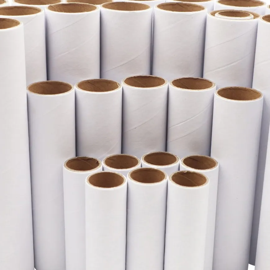 Cardboard Modelling Rolls Assorted 75pk