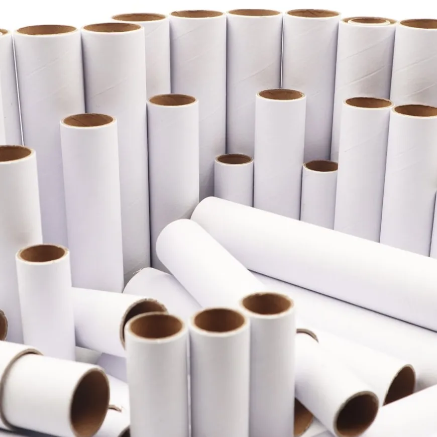 Cardboard Modelling Rolls Assorted 75pk