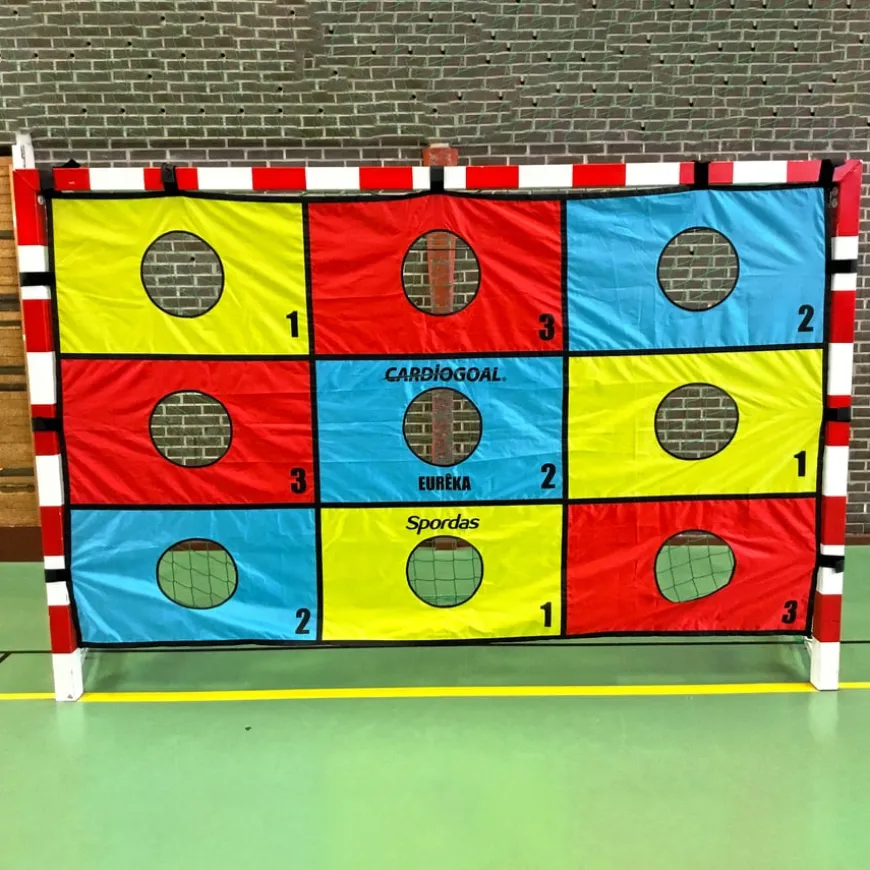 Cardiogoal Portable Target Wall Game 3 x 1.8m