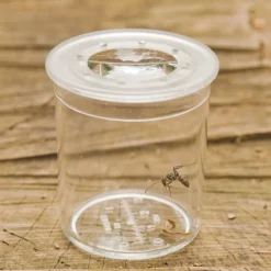 Class Pack of Magnifiers 35pk