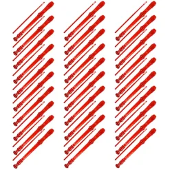 Coloured Descant School Recorder & Cleaning Rod