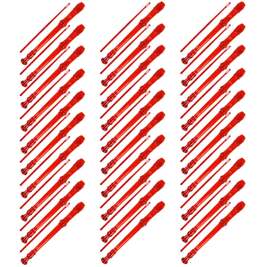 Coloured Descant School Recorder & Cleaning Rod