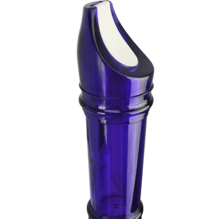 Coloured Descant School Recorder & Cleaning Rod