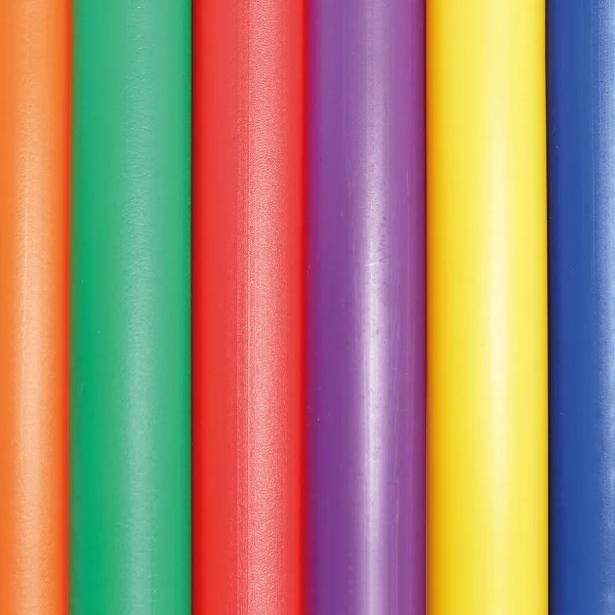 Coloured Hula Hoops 12pk