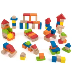 Coloured Wooden Building Blocks 100pk