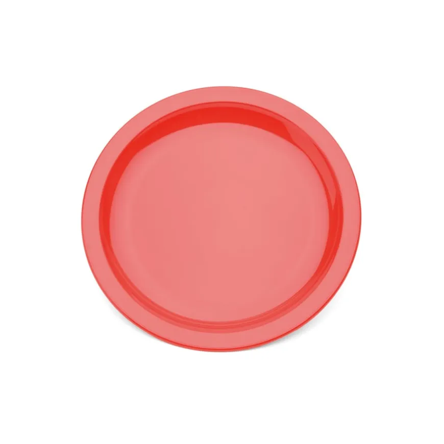Colourful Polycarbonate Plates Single