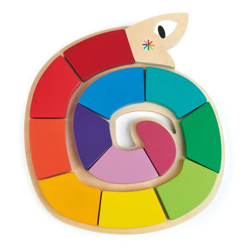 Colour Matching Snake Puzzle