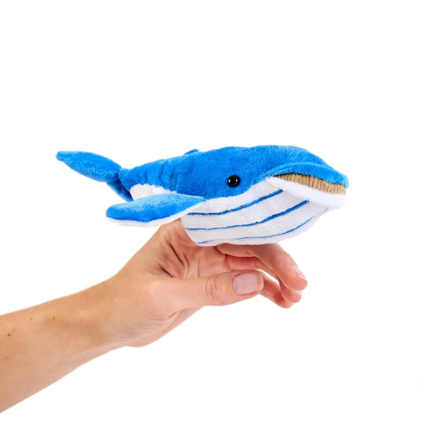 Commotion in the Ocean Vocabulary and Story bag