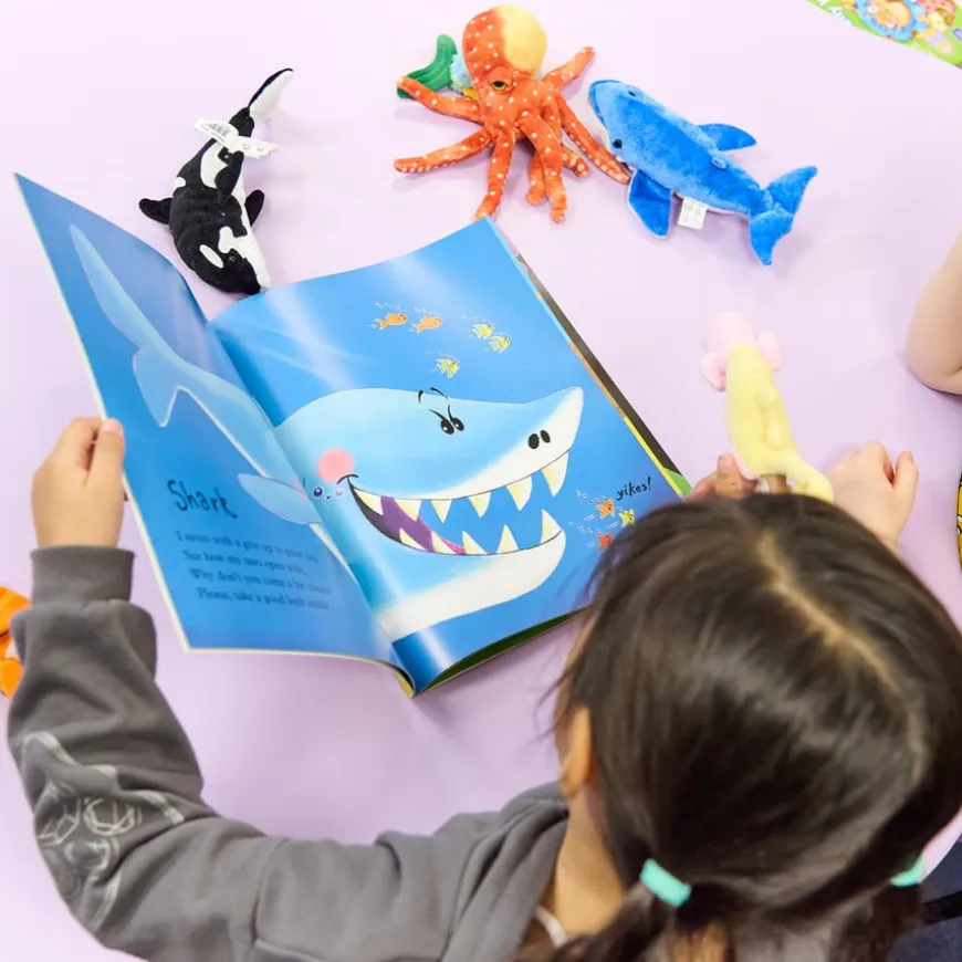 Commotion in the Ocean Vocabulary and Story bag