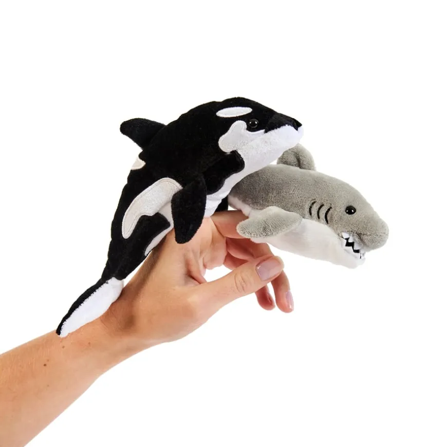Commotion in the Ocean Vocabulary and Story bag