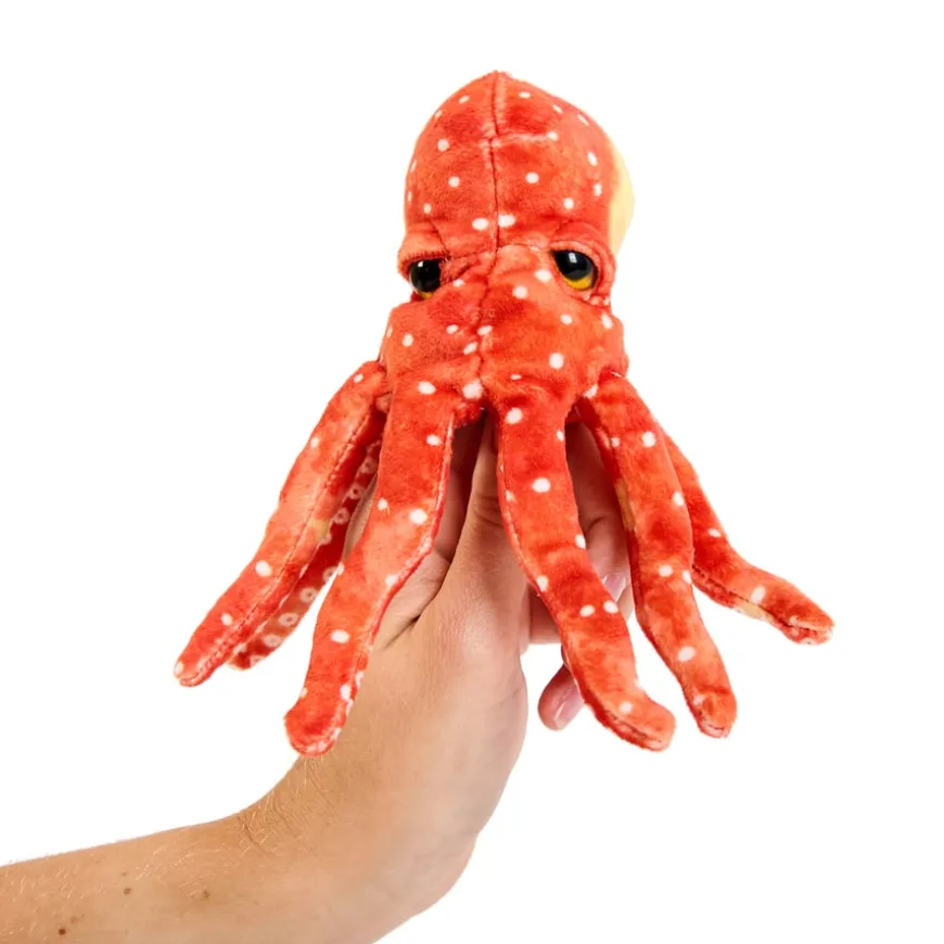 Commotion in the Ocean Vocabulary and Story bag