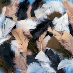 Craft Feathers 14g