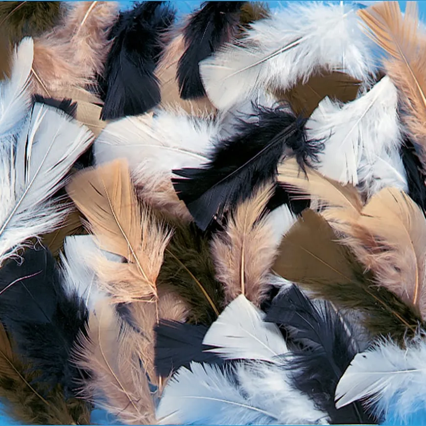 Craft Feathers 14g