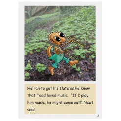 Dandelion Extended Phonic Readers Decodable Book Packs