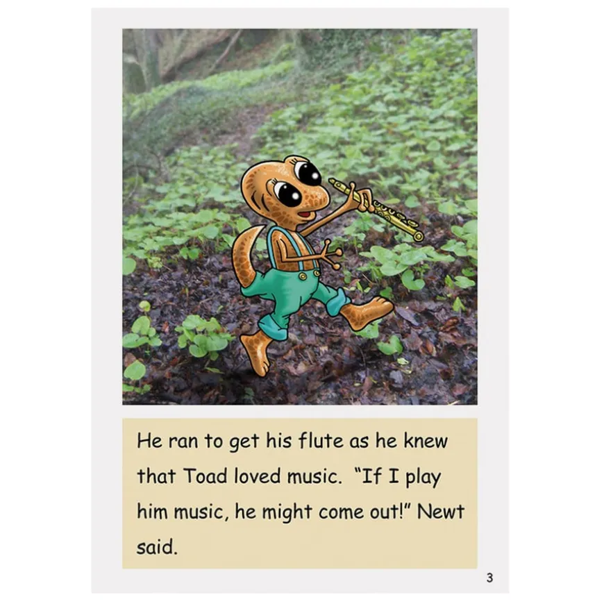 Dandelion Extended Phonic Readers Decodable Book Packs