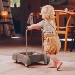 Dantoy TINY Baby Walker