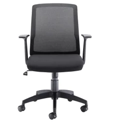 Denali Mid Back Chair - Black Mesh