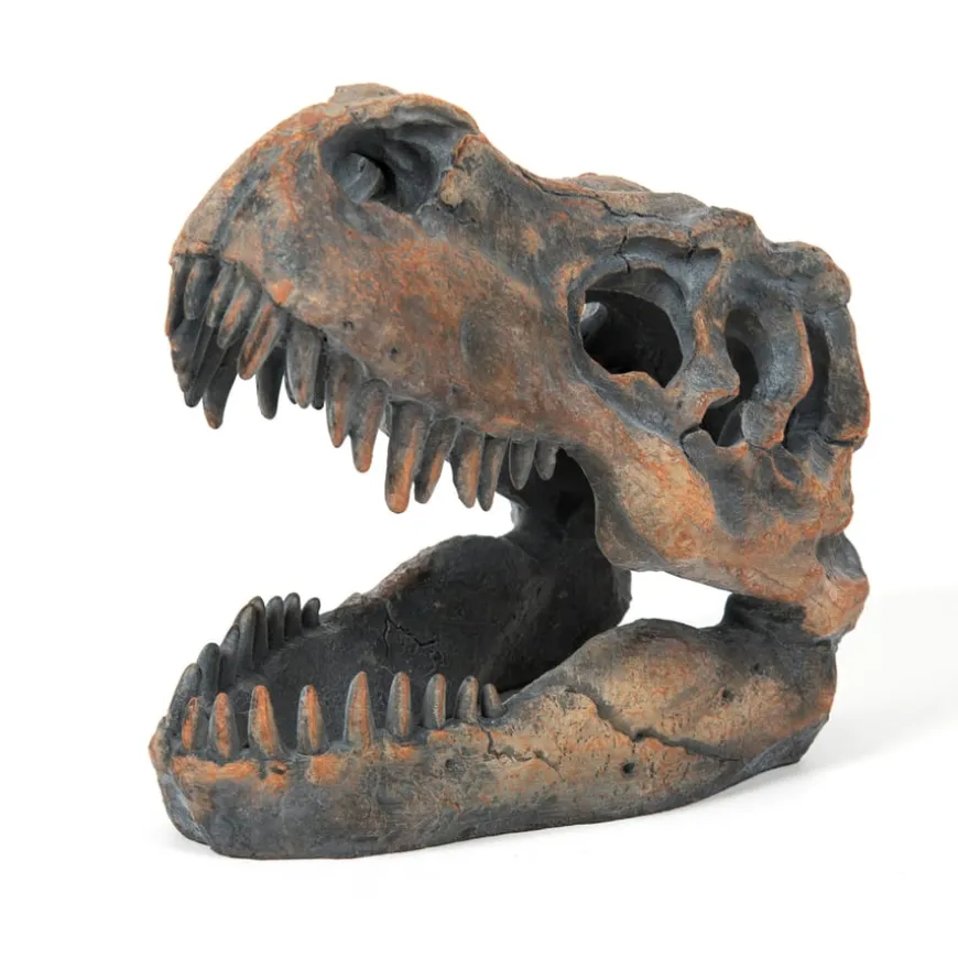 Dinosaur Fossil Kit