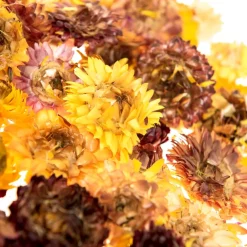 Dried Flowers Natural Collage Pack