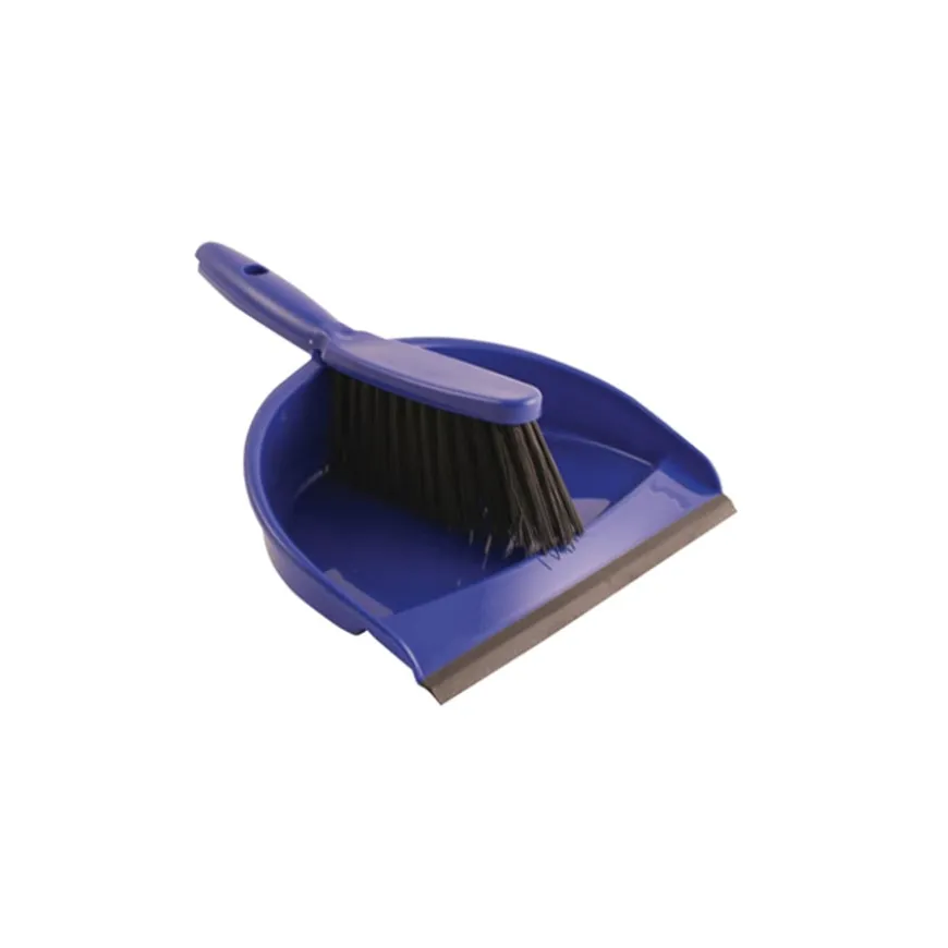 Dustpan & Brush Set Blue
