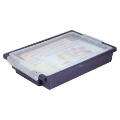 Electronic Snap Circuits