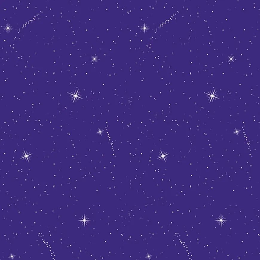Fadeless Designs Display Paper 1218x15m