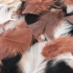 Feather Pack Assorted