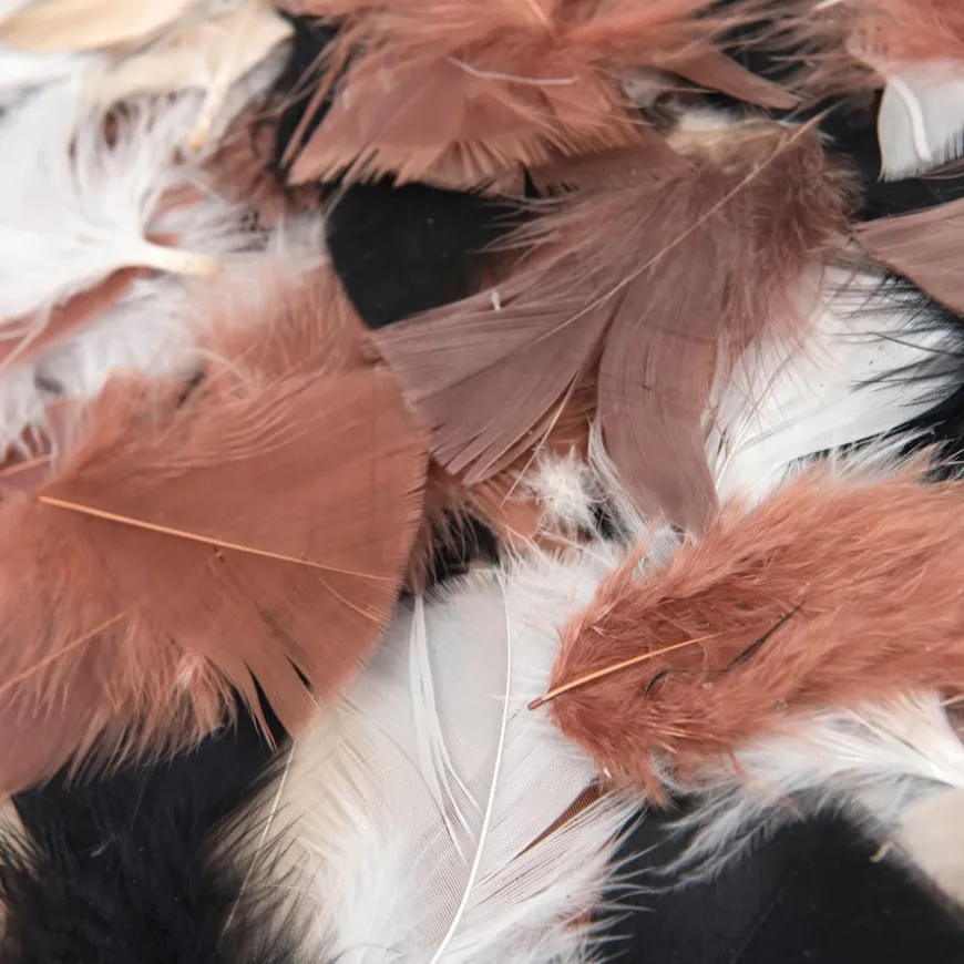 Feather Pack Assorted
