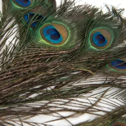 Feather Pack Assorted