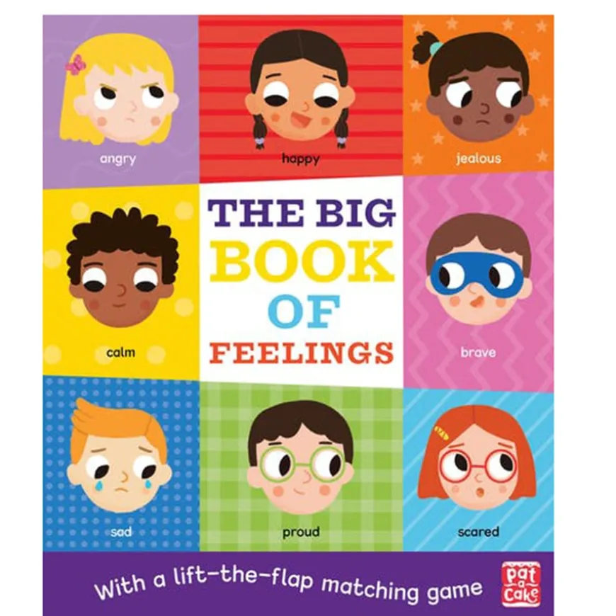 Feelings and Emotions Book Pack 11pk