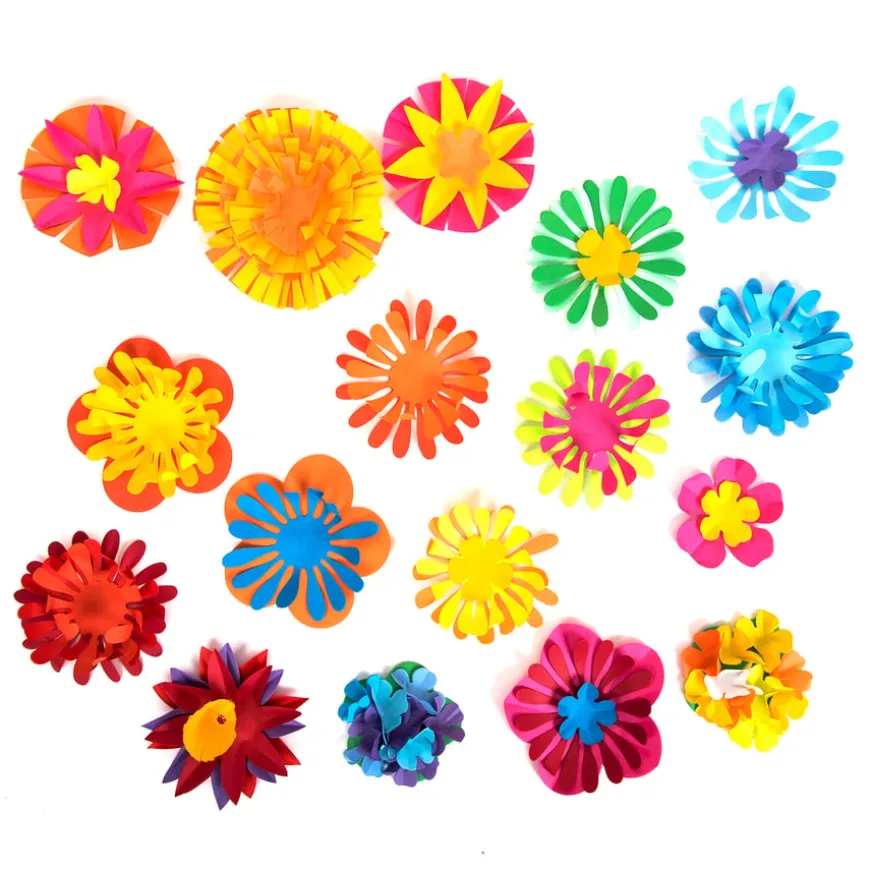 Festival of Flowers Bulk Pack 500pk