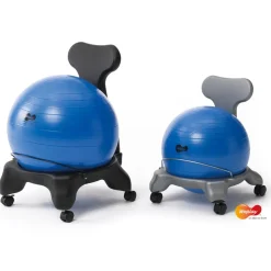 Fit Ball Support Chair