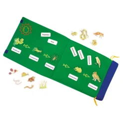 Foldout Animal Food Chain