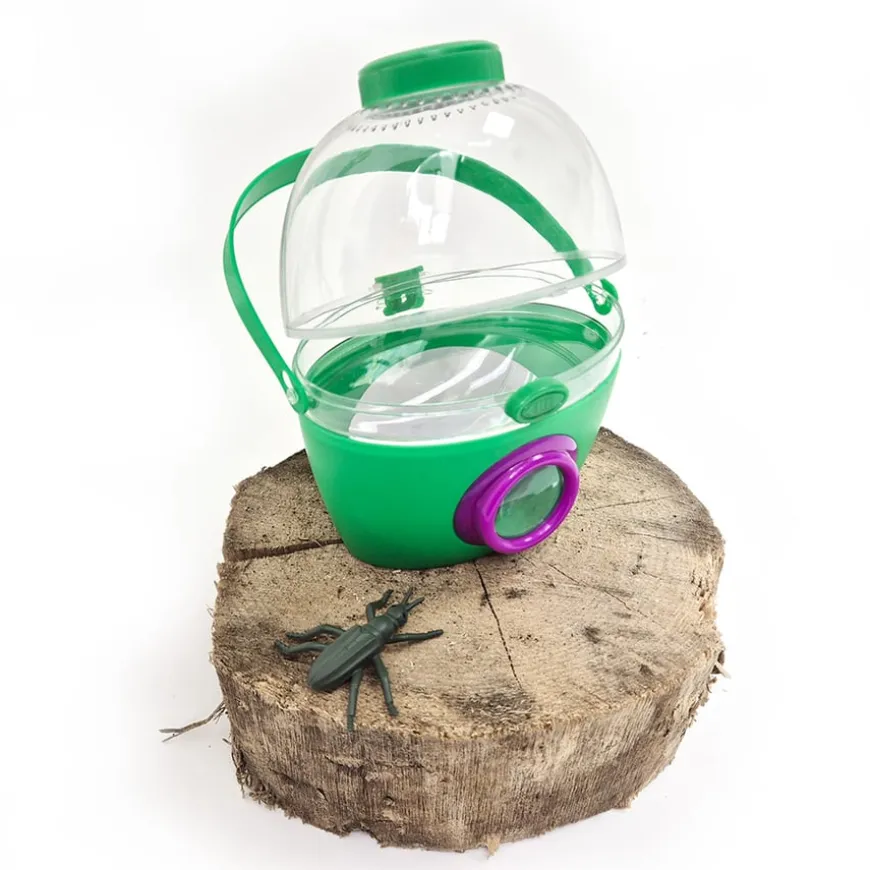 Forest School - Urban Schools Kit