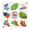 Frog, Duck, Butterfly and Tree Life Cycle Jigsaws
