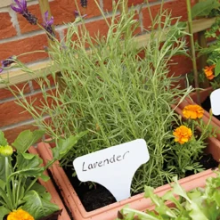 Garden Planter