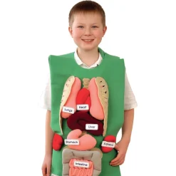 Human Anatomy Tunic