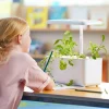 Hydroponic Smart Garden