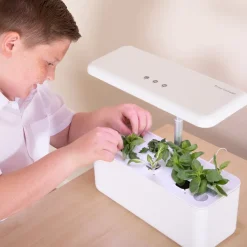 Hydroponic Smart Garden