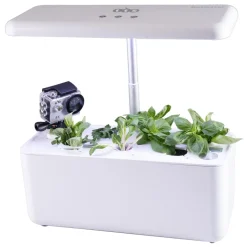 Hydroponic Smart Garden